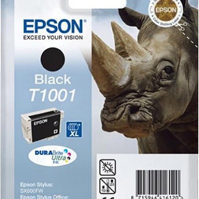Epson C13T10014020 (T1001) Siyah Orjinal Kartuş 