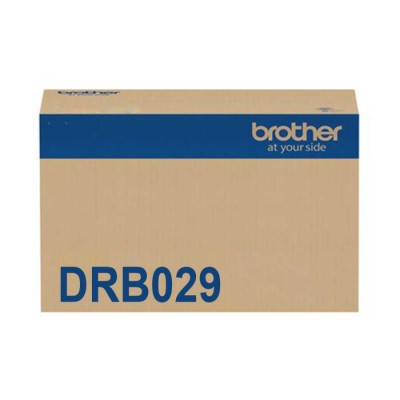 Brother DRB029 Siyah Orijinal Drum Ünitesi Brother DRB029 Siyah Orijinal Drum Ünitesi