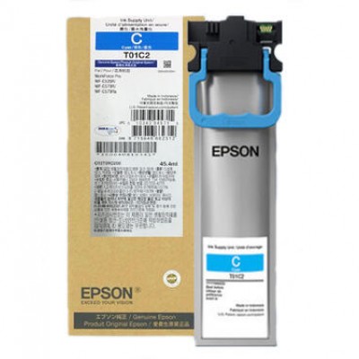 Epson C13T01C200 Mavi Orjinal Kartuş