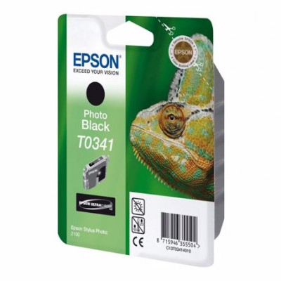 Epson C13T034140 (T0341) Photo Black Orjinal Kartuş 
