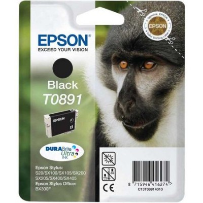 Epson (T0891) C13T08914020 Siyah Orjinal Kartuş